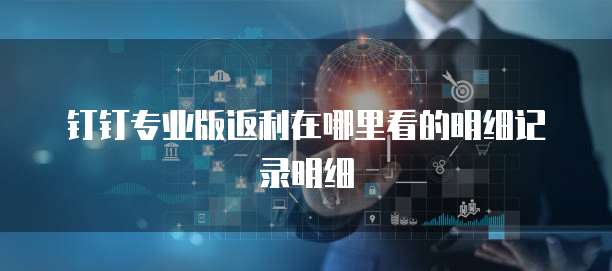 钉钉专业版返利在哪里看的明细记录明细