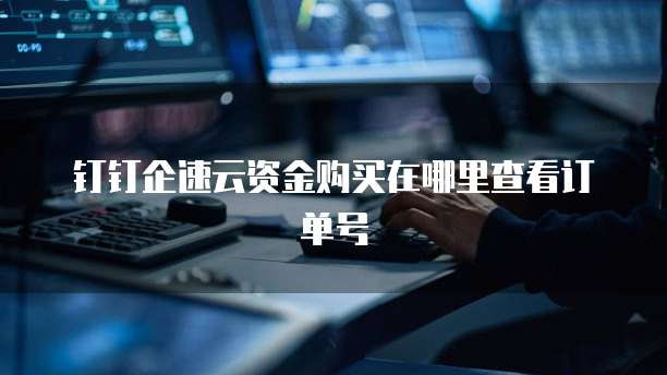 钉钉企速云资金购买在哪里查看订单号
