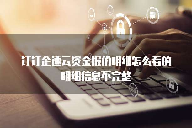 钉钉企速云资金报价明细怎么看的明细信息不完整