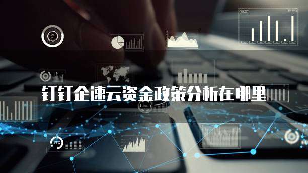 钉钉企速云资金政策分析在哪里