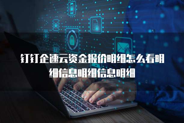 钉钉企速云资金报价明细怎么看明细信息明细信息明细