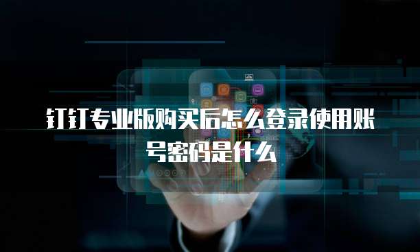 钉钉专业版购买后怎么登录使用账号密码是什么