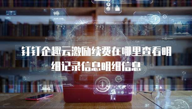 钉钉企趣云激励续费在哪里查看明细记录信息明细信息