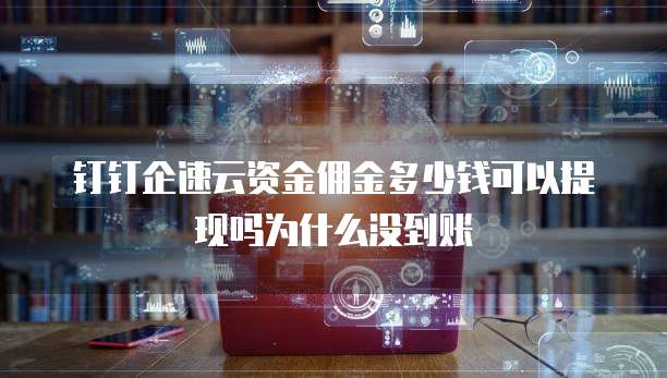 钉钉企速云资金佣金多少钱可以提现吗为什么没到账