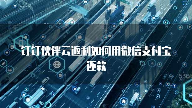 钉钉伙伴云返利如何用微信支付宝还款