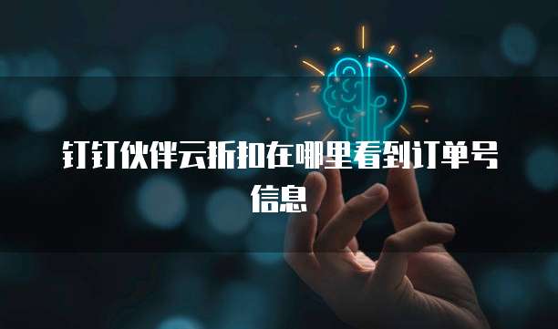 钉钉伙伴云折扣在哪里看到订单号信息