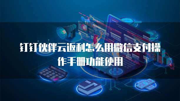 钉钉伙伴云返利怎么用微信支付操作手册功能使用
