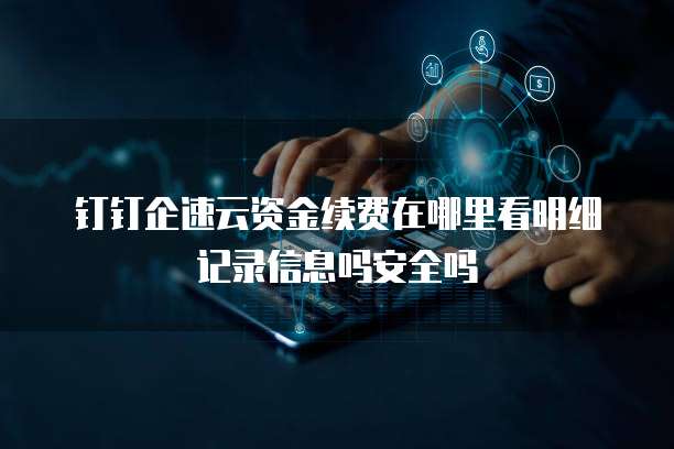 钉钉企速云资金续费在哪里看明细记录信息吗安全吗