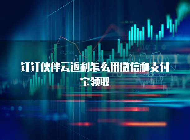 钉钉伙伴云返利怎么用微信和支付宝领取