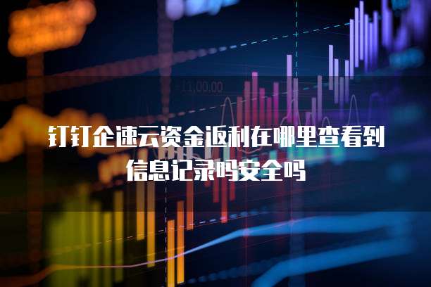 钉钉企速云资金返利在哪里查看到信息记录吗安全吗