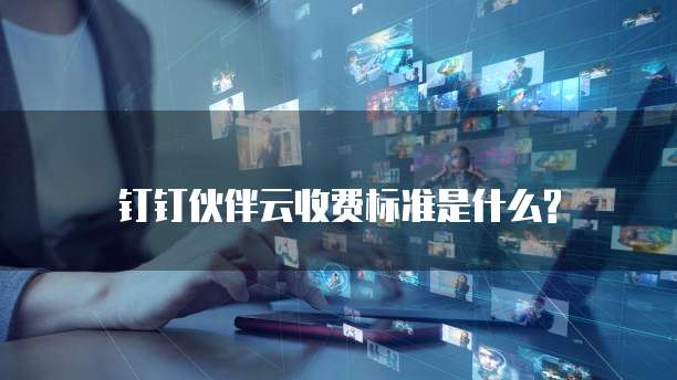 钉钉伙伴云收费标准是什么?