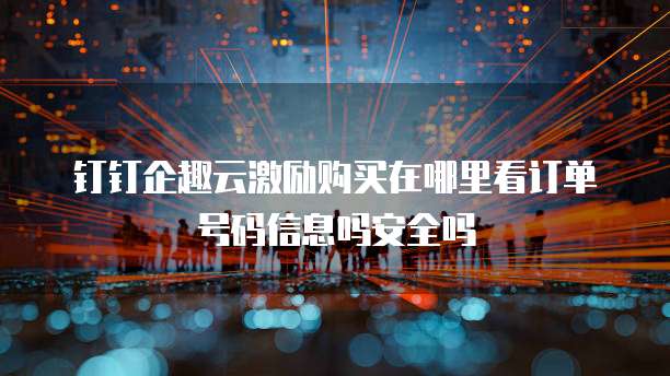 钉钉企趣云激励购买在哪里看订单号码信息吗安全吗