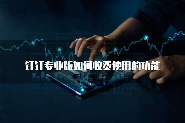 钉钉专业版如何收费使用的功能