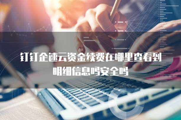 钉钉企速云资金续费在哪里查看到明细信息吗安全吗