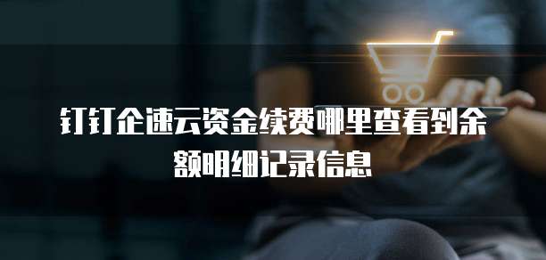 钉钉企速云资金续费哪里查看到余额明细记录信息