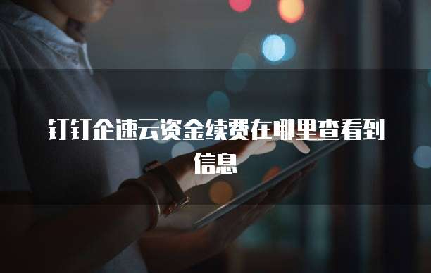 钉钉企速云资金续费在哪里查看到信息