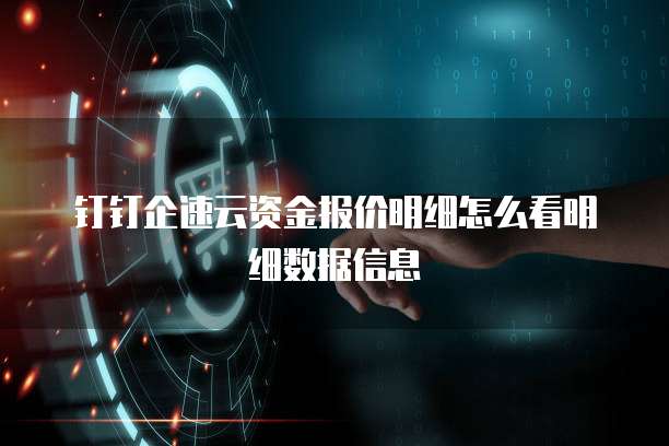 钉钉企速云资金报价明细怎么看明细数据信息
