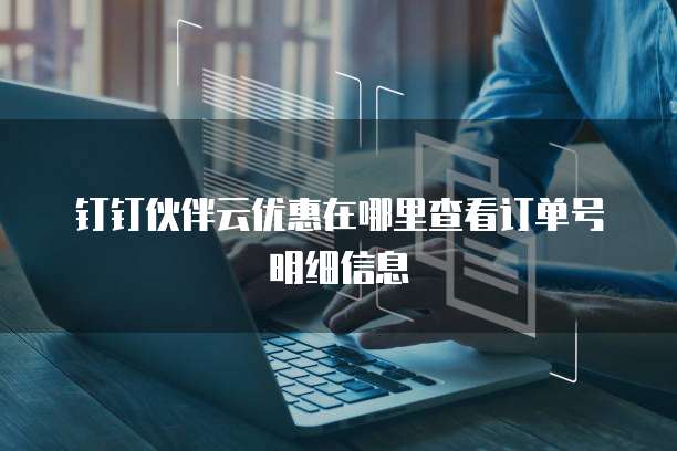 钉钉伙伴云优惠在哪里查看订单号明细信息