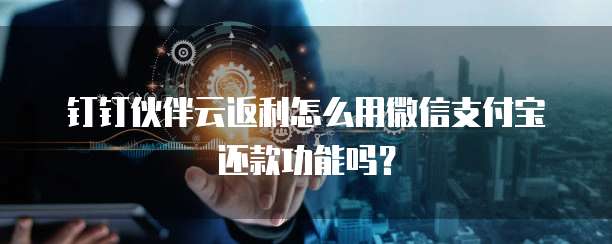 钉钉伙伴云返利怎么用微信支付宝还款功能吗?
