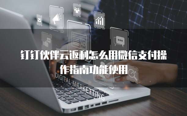 钉钉伙伴云返利怎么用微信支付操作指南功能使用