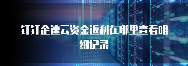钉钉企速云资金返利在哪里查看明细记录