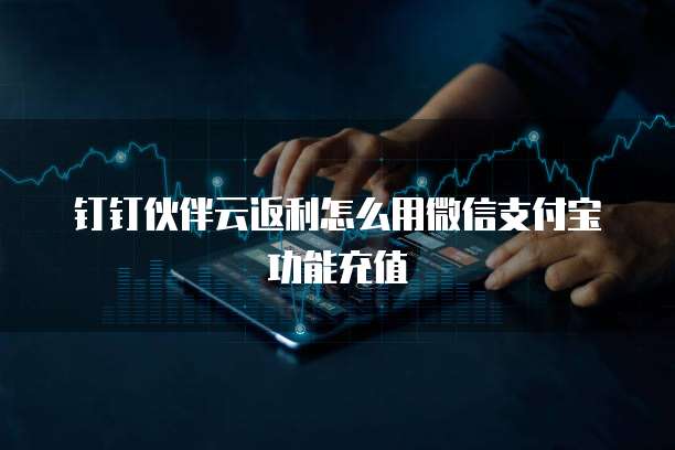 钉钉伙伴云返利怎么用微信支付宝功能充值