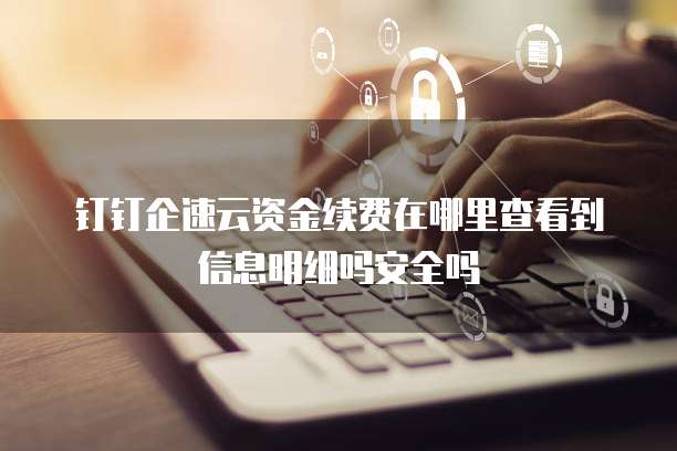 钉钉企速云资金续费在哪里查看到信息明细吗安全吗