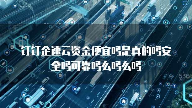 钉钉企速云资金便宜吗是真的吗安全吗可靠吗么吗么吗