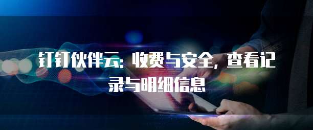 钉钉伙伴云: 收费与安全, 查看记录与明细信息