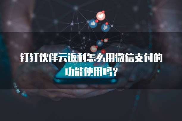 钉钉伙伴云返利怎么用微信支付的功能使用吗?
