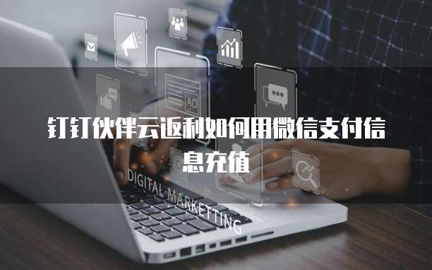 钉钉伙伴云返利如何用微信支付信息充值