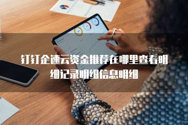 钉钉企速云资金推荐在哪里查看明细记录明细信息明细