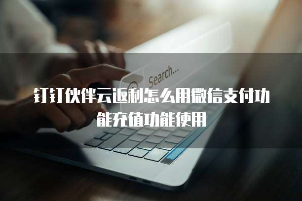 钉钉伙伴云返利怎么用微信支付功能充值功能使用