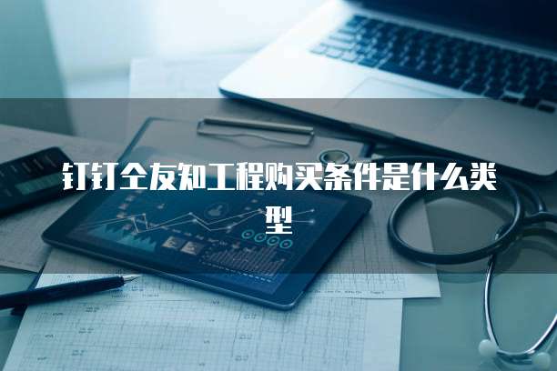 钉钉仝友知工程购买条件是什么类型