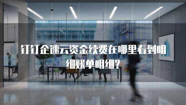 钉钉企速云资金续费在哪里看到明细账单明细？