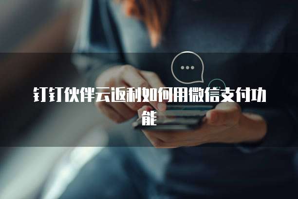 钉钉伙伴云返利如何用微信支付功能