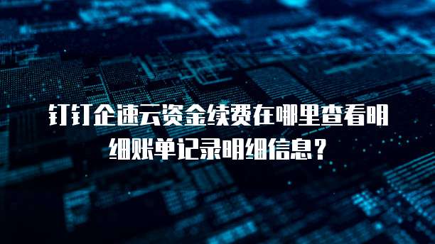 钉钉企速云资金续费在哪里查看明细账单记录明细信息?