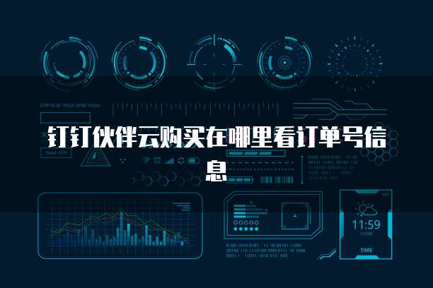钉钉伙伴云购买在哪里看订单号信息