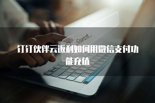 钉钉伙伴云返利如何用微信支付功能充值