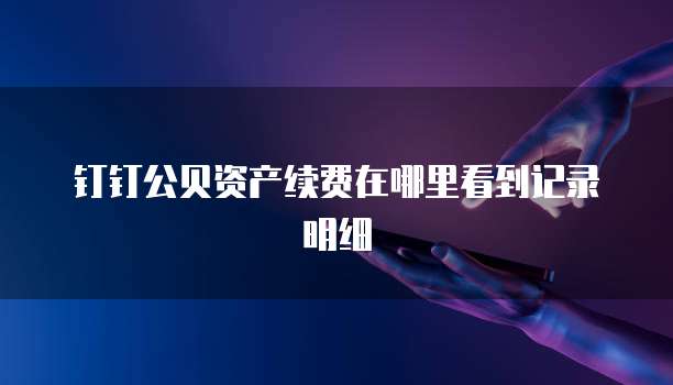 钉钉公贝资产续费在哪里看到记录明细