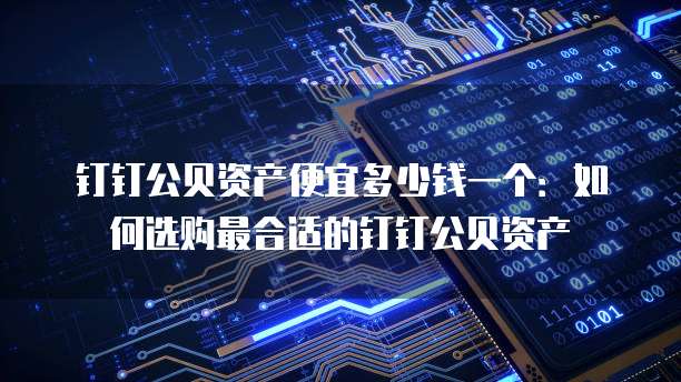 钉钉公贝资产便宜多少钱一个:如何选购最合适的钉钉公贝资产