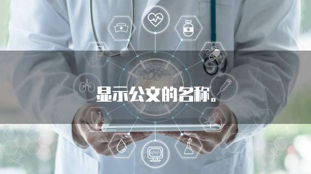 显示公文的名称。