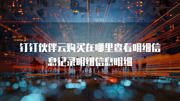 钉钉伙伴云购买在哪里查看明细信息记录明细信息明细