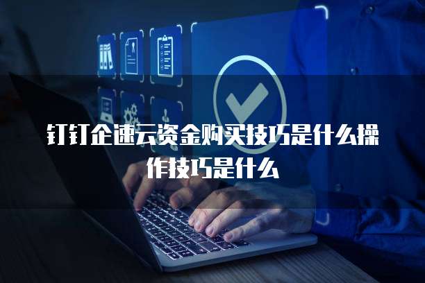 钉钉企速云资金购买技巧是什么操作技巧是什么
