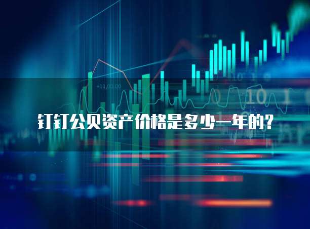 钉钉公贝资产价格是多少一年的?