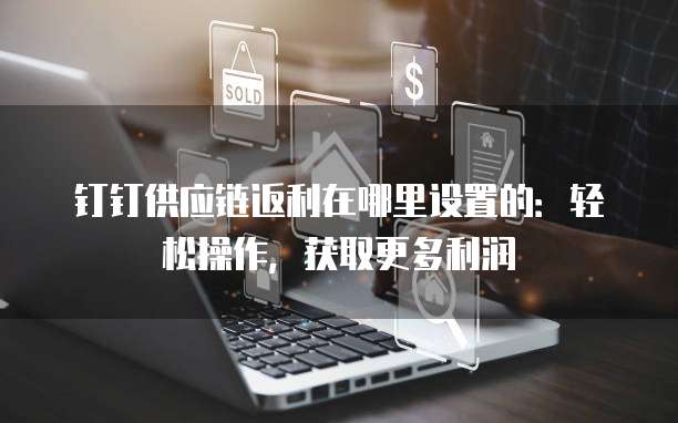 钉钉供应链返利在哪里设置的:轻松操作,获取更多利润