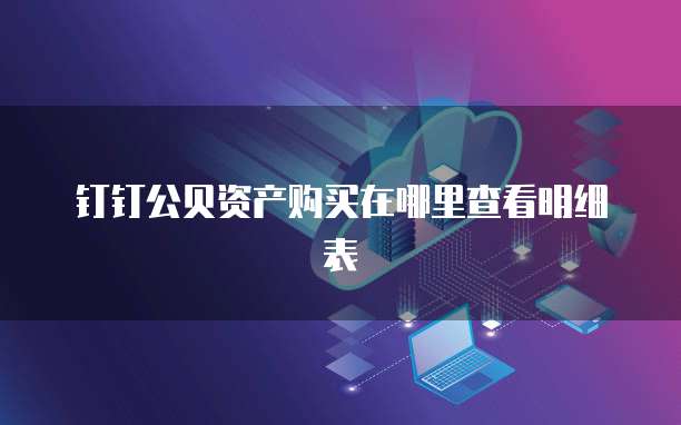 钉钉公贝资产购买在哪里查看明细表