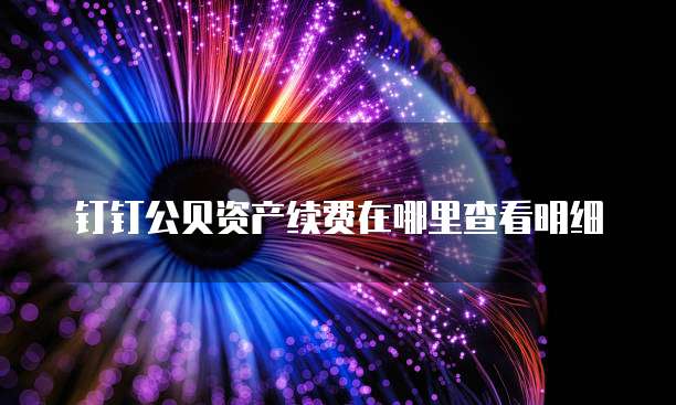 钉钉公贝资产续费在哪里查看明细