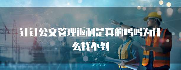 钉钉公文管理返利是真的吗吗为什么找不到