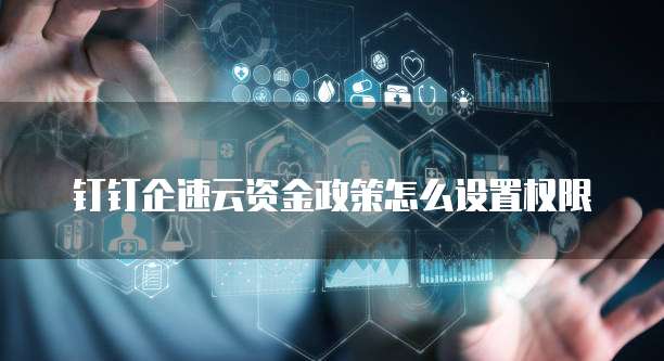 钉钉企速云资金政策怎么设置权限